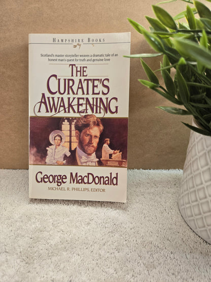 The Curate's Awakening (Hampshire Books) - Jennifer & Ryan Books