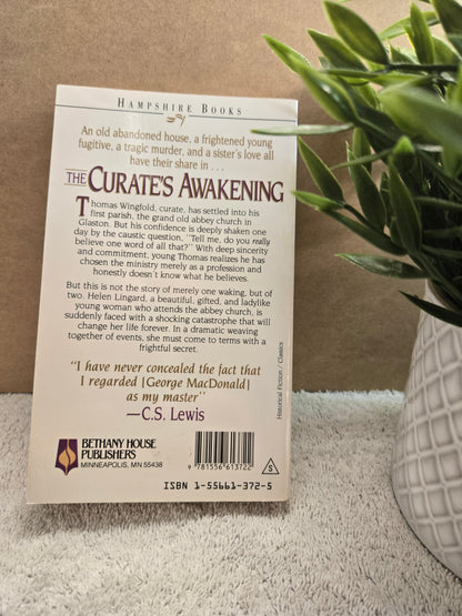 The Curate's Awakening (Hampshire Books) - Jennifer & Ryan Books