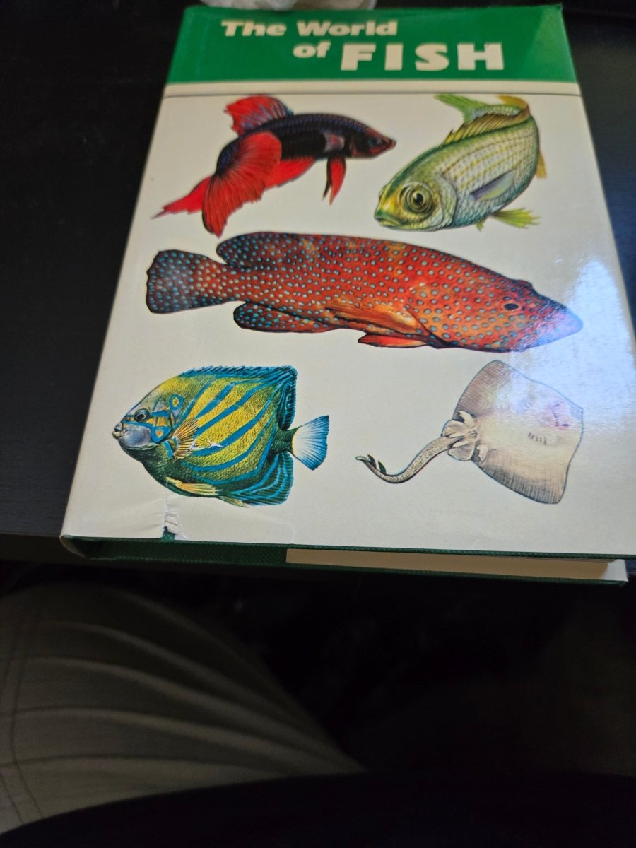 The World of Fish (English and Italian Edition) - Jennifer & Ryan Books